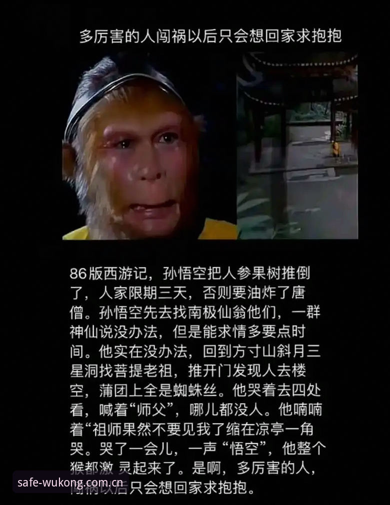 悟空体育安装教程 为什么说悟空体育安装教程是解锁全平台体验的关键一步?